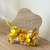 Design B
